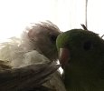 IMG_2638.jpeg