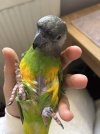 IMG_4777.jpeg