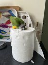 IMG_5267.jpeg