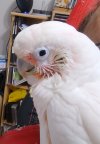 IMG_20251204_140829658.jpg