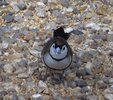 2026 PC XXI.jpg