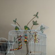remi&rayo