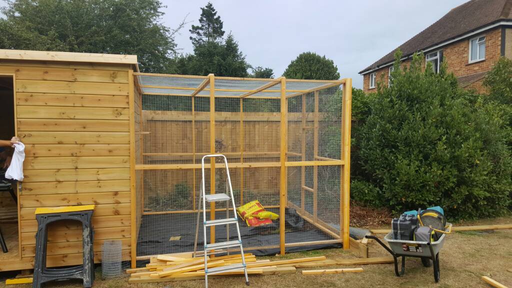 Thumbnail for Oversized Parrot Aviary Insulation